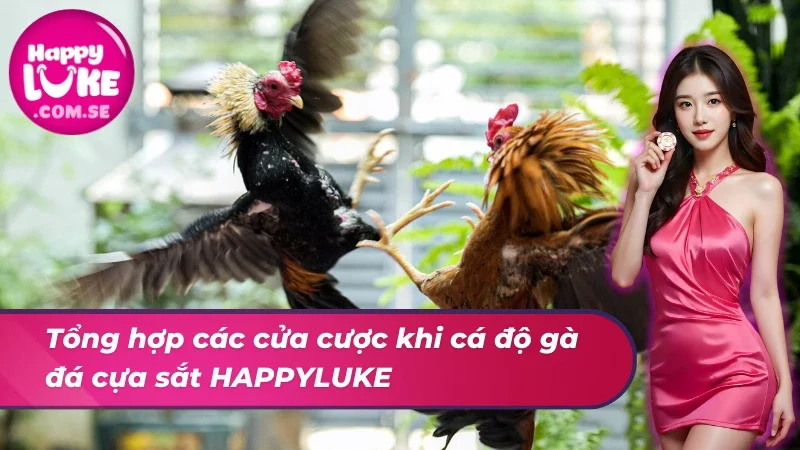 Đá Gà Cựa Sắt HAPPYLUKE - Khám Phá Hình Thức Giải Trí Top 1 4 Các cửa cược xuất hiện trong cá độ đá gà cựa sắt